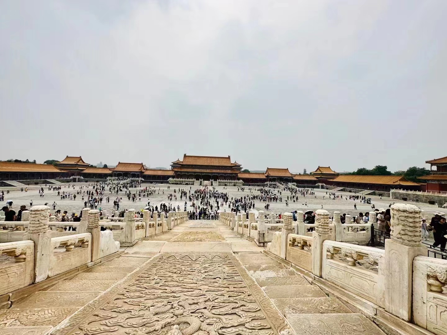 最快最全免费印刷图库
