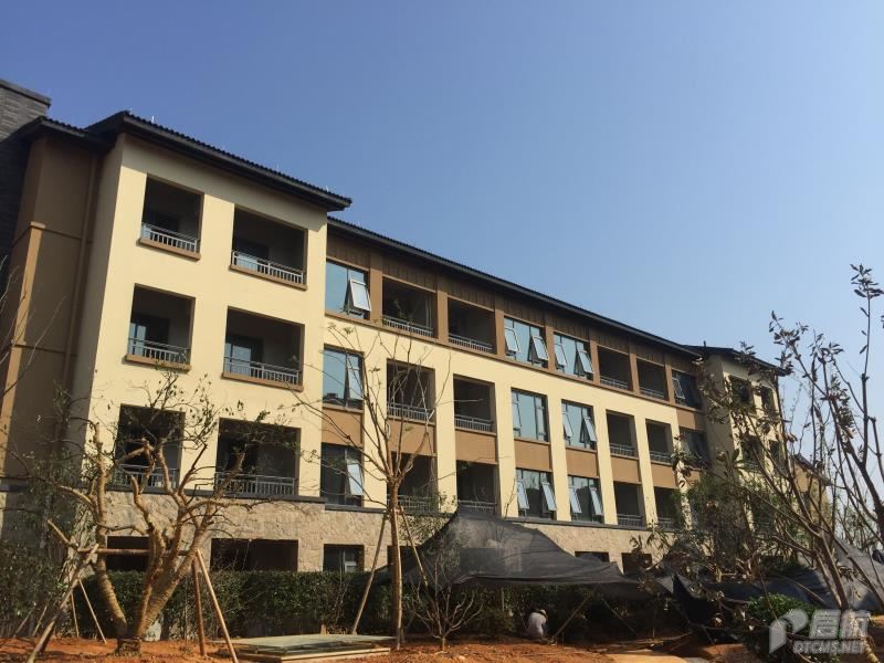最快最全免费印刷图库